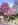 Impressionen1