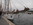 weißes Schiff im Hafen